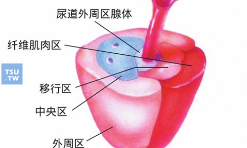 盐风菜的功效网 - 网站提供盐菜的副作用和危害小常识、盐风菜的功效与禁忌