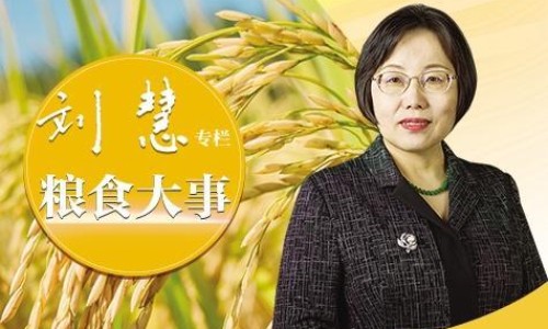 盐韮菜的做法-盐风菜的功效网 - 网站提供盐菜的副作用和危害小常识、盐风菜的功效与禁忌